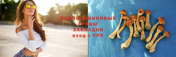 а пвп мука Алзамай