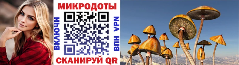 Псилоцибиновые грибы ЛСД Камбарка