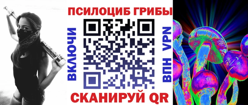 Псилоцибиновые грибы Psilocybe Камбарка