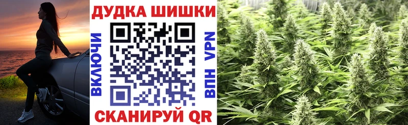 где продают наркотики  Камбарка  Бошки марихуана семена 
